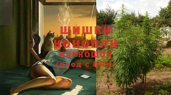 гашик Абаза